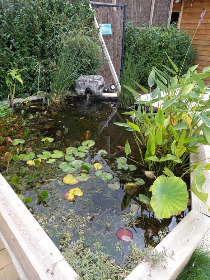 Appartement 3 Eme Etage Avec Piscine Partagee 세단 외부 사진